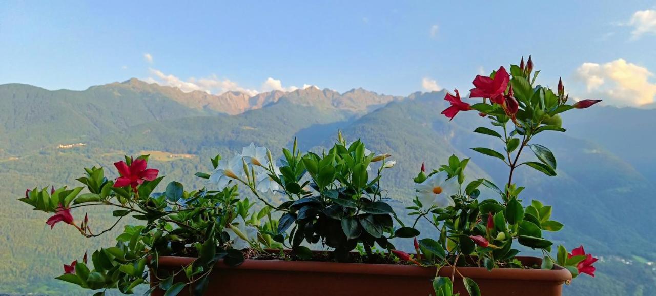 Palazzo Juvalta Bed & Breakfast Teglio Exterior photo